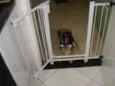 Lili