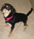 Lili