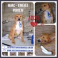 MARC, 1 aninho, um