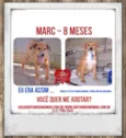MARC, 1 aninho, um 