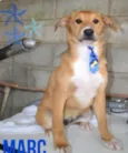 MARC, 1 aninho, um 