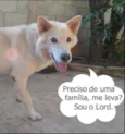 LORD - Um Senhor mu