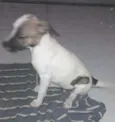 Lala