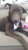 MEL