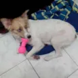Brenda