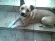 Marley