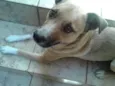 Marley