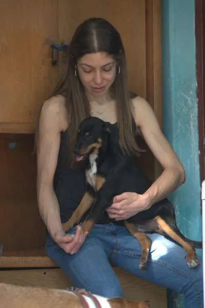 Cachorro ra a N/D idade 2 a 6 meses nome Pretinho