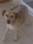 Luís