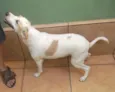 princesa