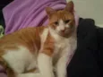NIKI