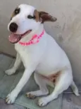 Bella