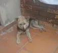 pépa