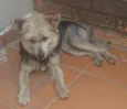 pépa