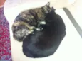 Chiquinho e Chiquinha