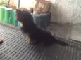 não sei