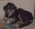 Nina