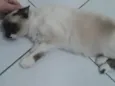 Nina