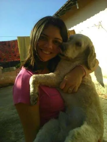 Cachorro ra a  idade 2 anos nome Salomão