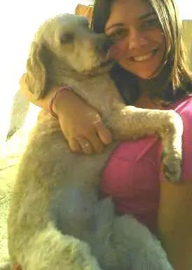Cachorro raça  idade 2 anos nome Salomão