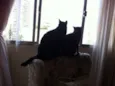 Chiquinho e Chiquinha