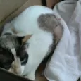 Mom