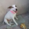 Bella