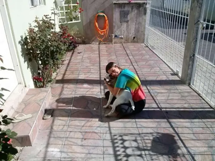 Cachorro ra a Mestiça Bull Terrier idade 1 ano nome Bella
