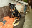 Fiona
