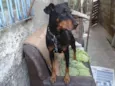 Fiona