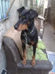 Fiona