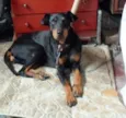 Fiona