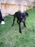 Lampião