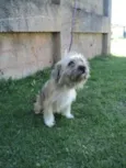Valderrama