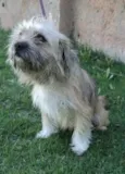 Valderrama