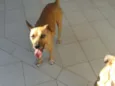 Mel