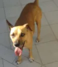 Mel