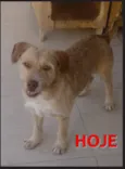 LUIS