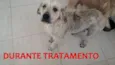 BEBEZÃO