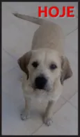 BEBEZÃO
