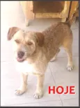 LUIS