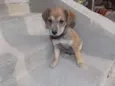 docê