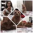 Simba