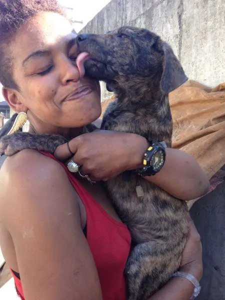 Cachorro ra a SRD idade 2 a 6 meses nome TIGRINHO