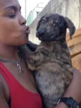 TIGRINHO