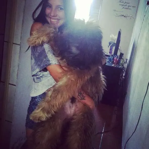Cachorro ra a Não identificada idade 2 a 6 meses nome Thor