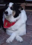princesa