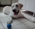 Bob