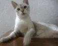 XANA