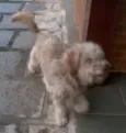 Não Sei